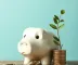 As 5 melhores ideias para investir suas poupanças
