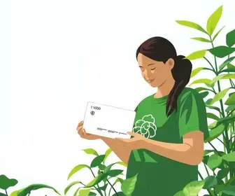 Bolsa Verde prevê pagamento de R$ 600 em 16/11