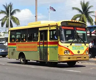 Porto Velho terá ônibus grátis nos dois turnos das eleições; tarifa será zerada por 13 horas