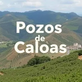 Empregos em Poços de Caldas 2025: Vagas Abertas