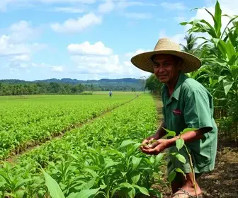 Agro Amazônia: Vagas Abertas Para Novo Talento